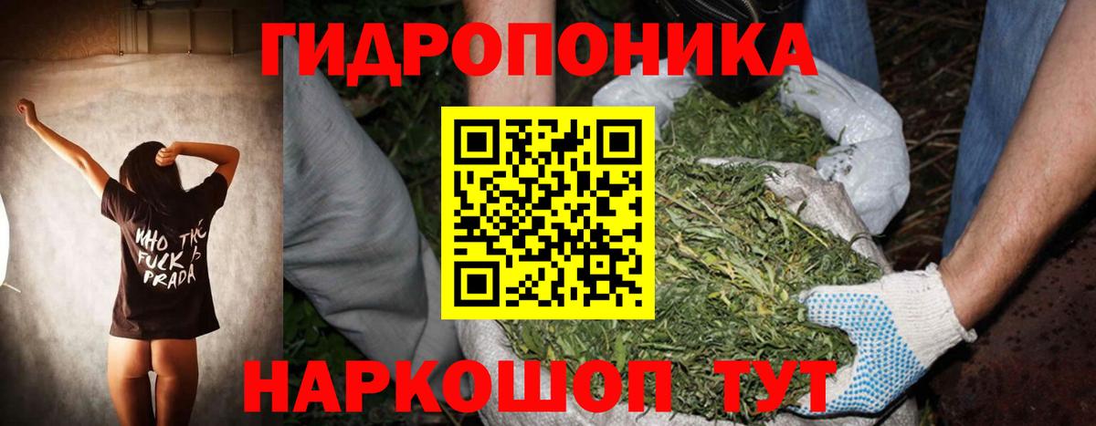 Каннабис AK-47 Видное